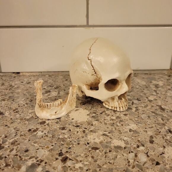 Tiny Firepit Burning Skull - Picture 6 of 9